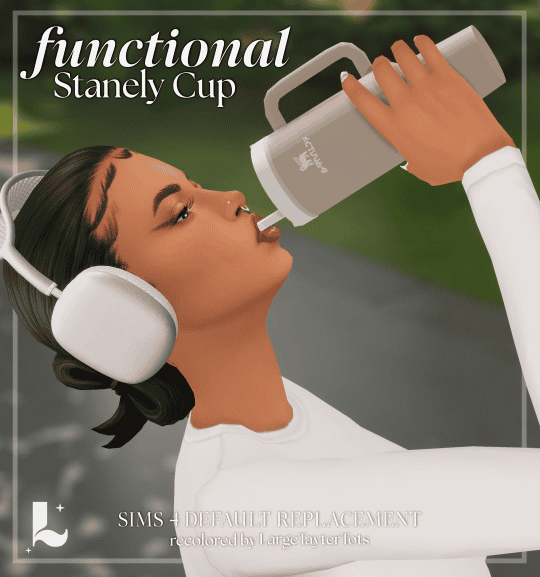 Functional Stanley Cup
