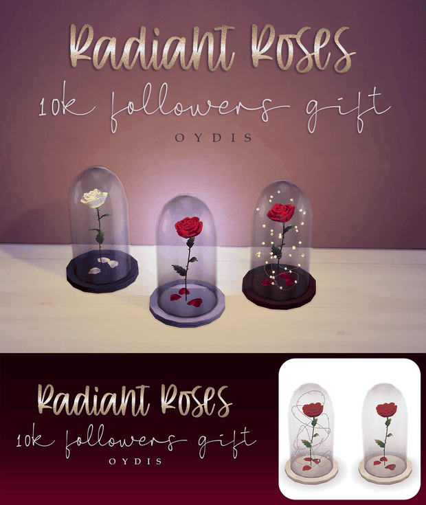 Radiant Roses
