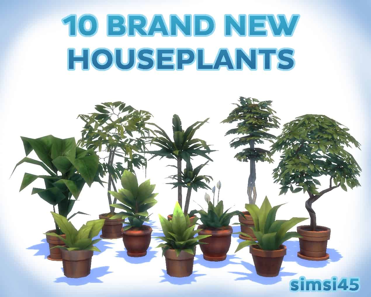 10 Potted Houseplants
