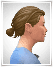 Sidebangs with Loop-Bun and Ponytail