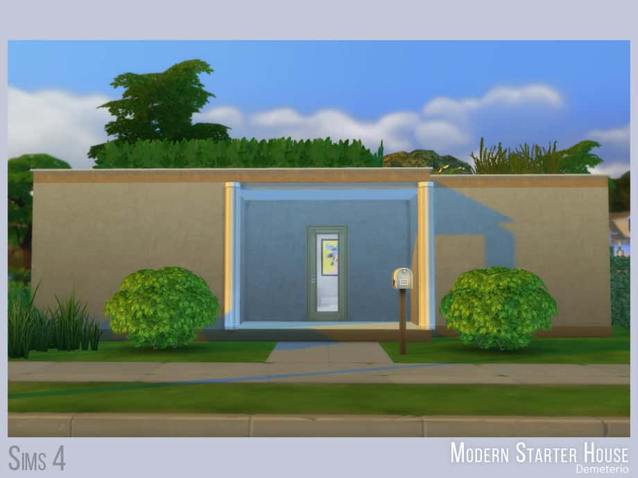 Modern Starter House