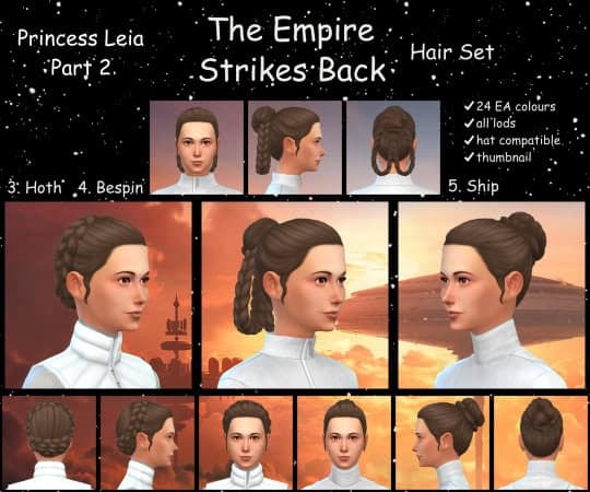 The Empire Strikes Back Hair Set