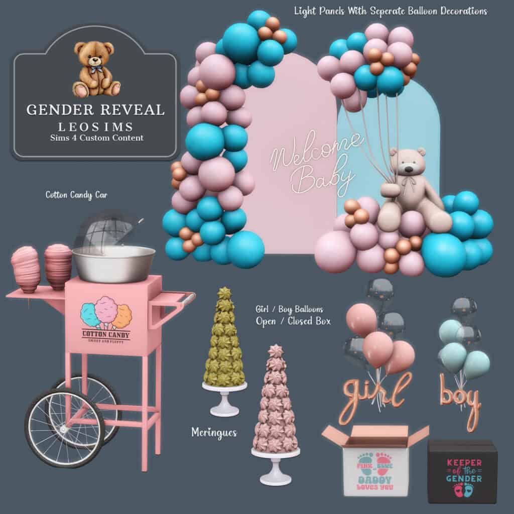 Gender Reveal Party
