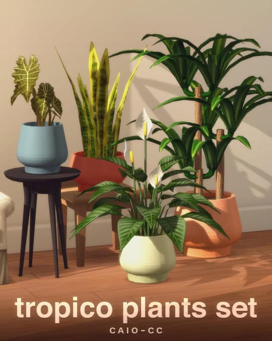 Tropico Set