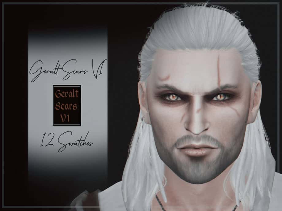 Geralt Scars V1