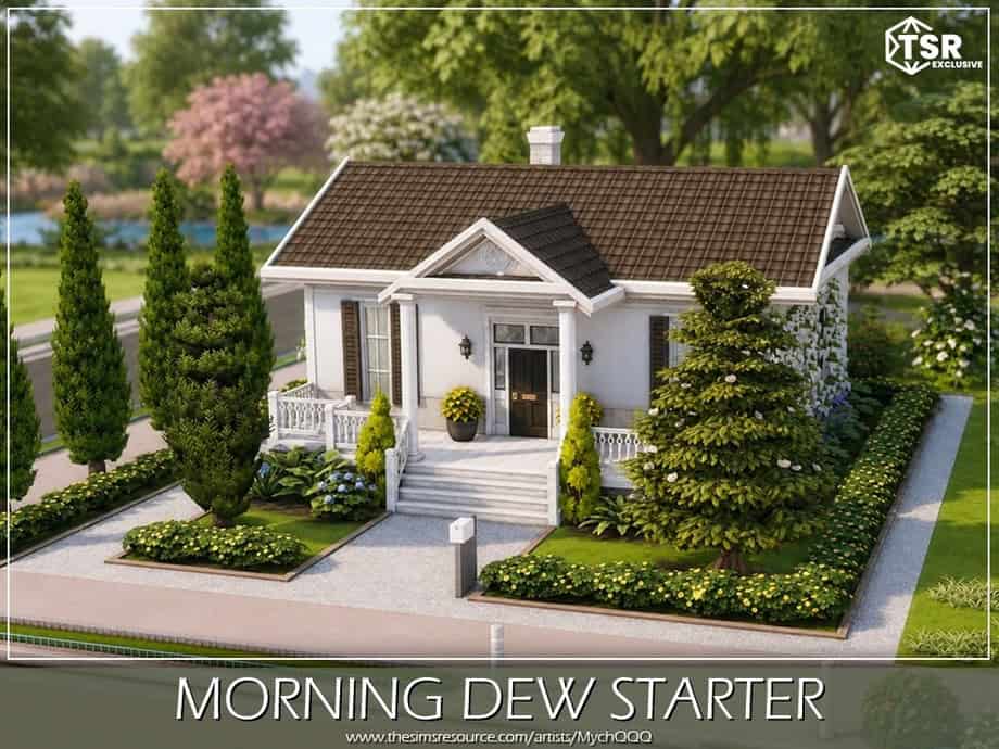 Morning Dew Starter