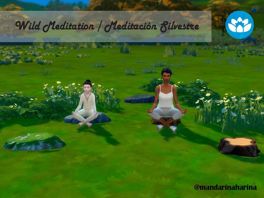 Wild Meditation Stools