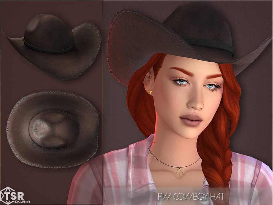 Cowboy Hat