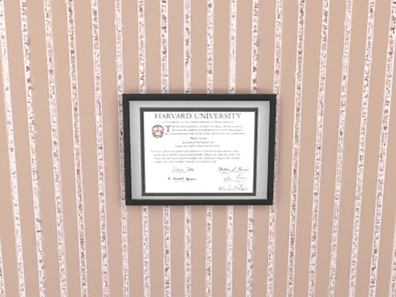 University Degree