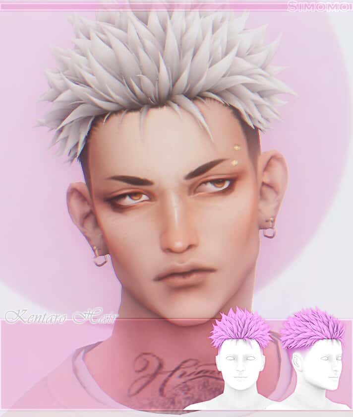 Kentaro Hair