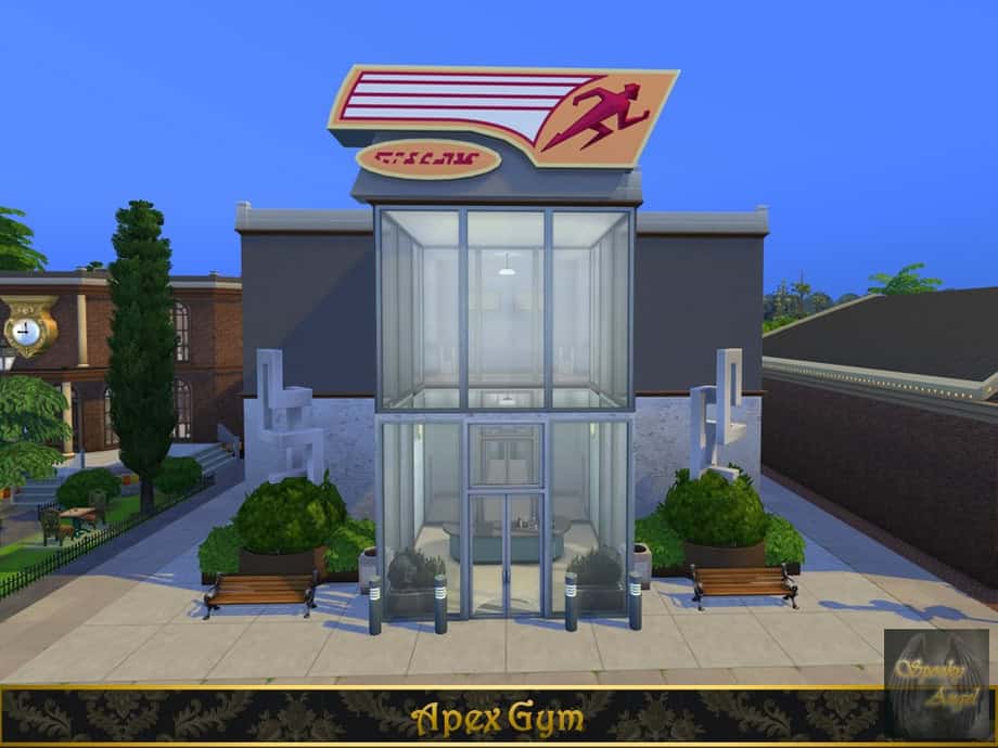 Apex Gym
