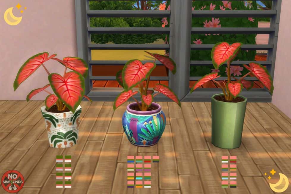 1 Potted Caladium Plants