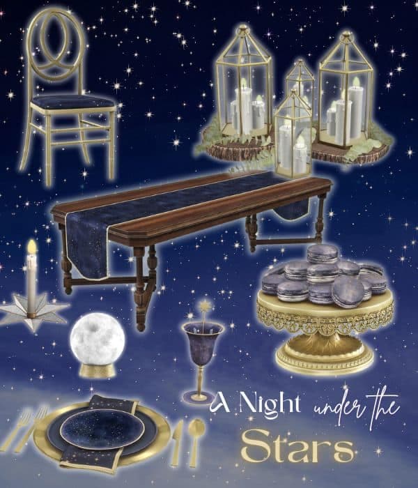 A Night Under The Stars