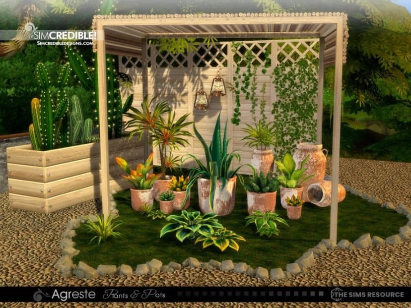 Agreste Plants and Pots
