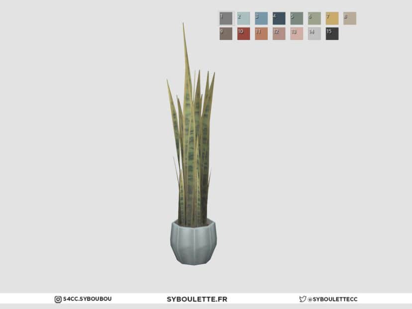Astrid Snake Plant CC