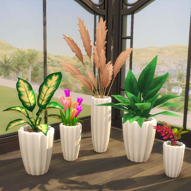 Fancy Pots Fancy Plants!