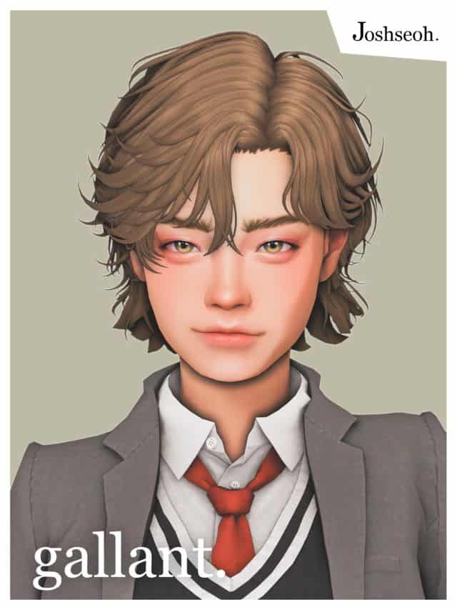 Gallant Messy Hairstyle