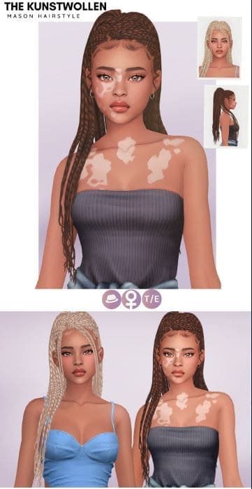 Mason Braided Hairstyle