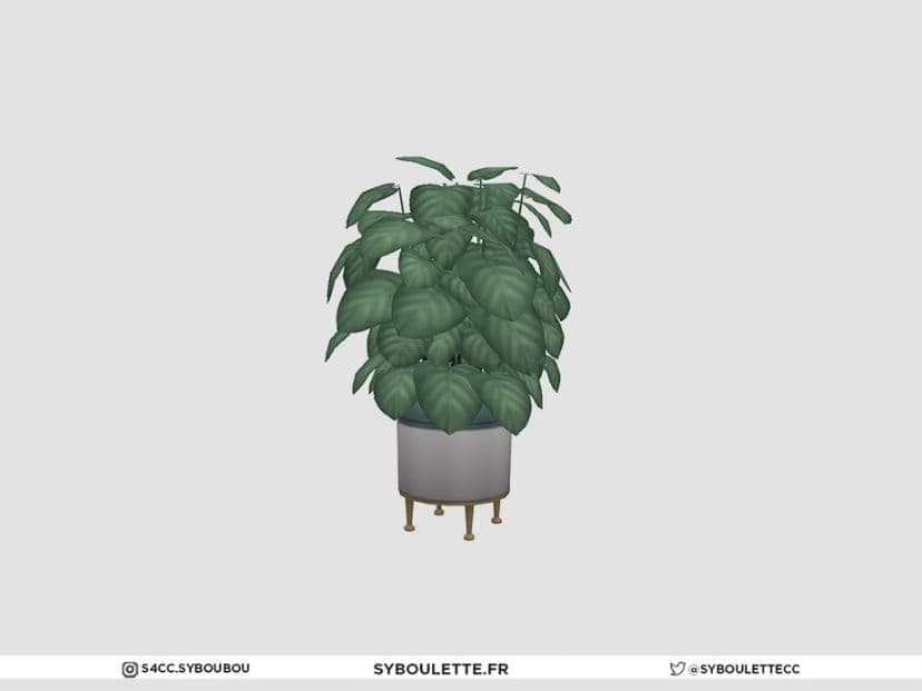 Medium Green Plant for Sims 4