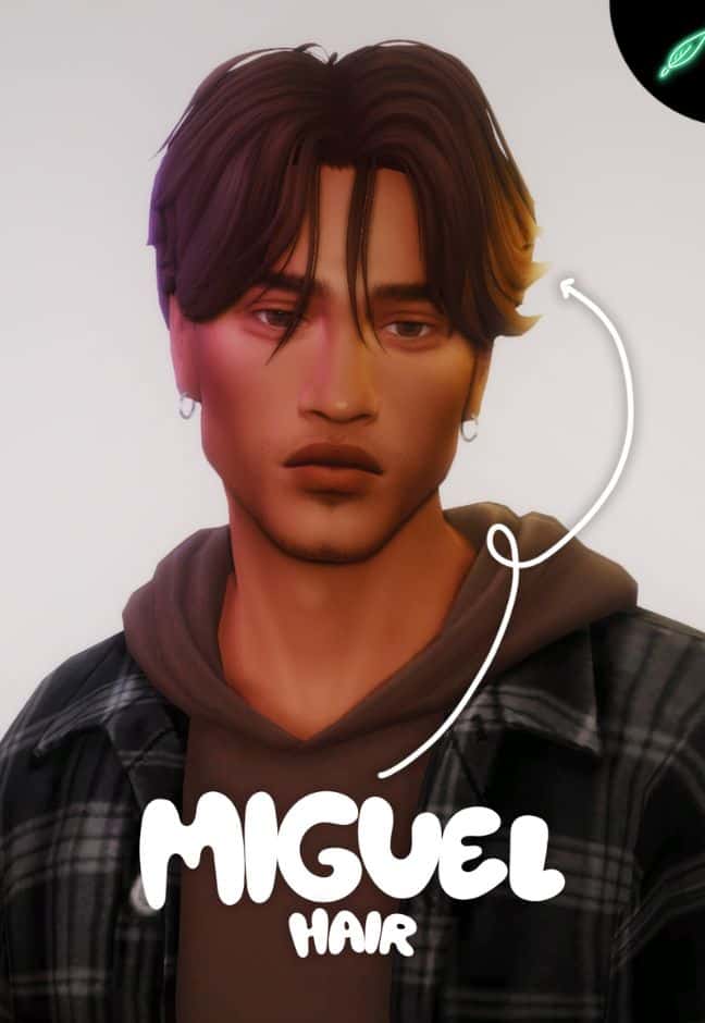 Miguel Hair For Both Frames