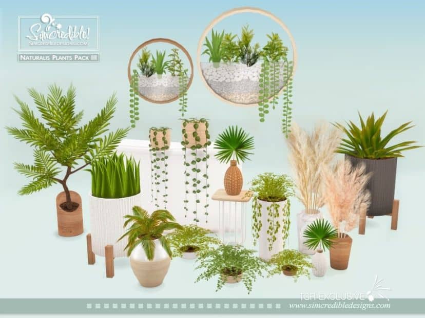 Natural Plants Pack III