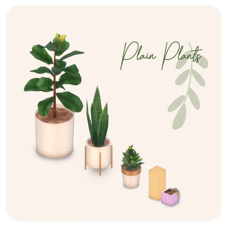 Plain Plants & Tiled Decors