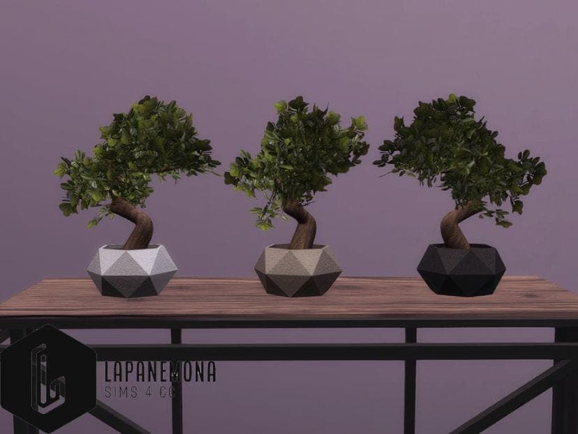 Sims 4 Modern Bonsai Plants