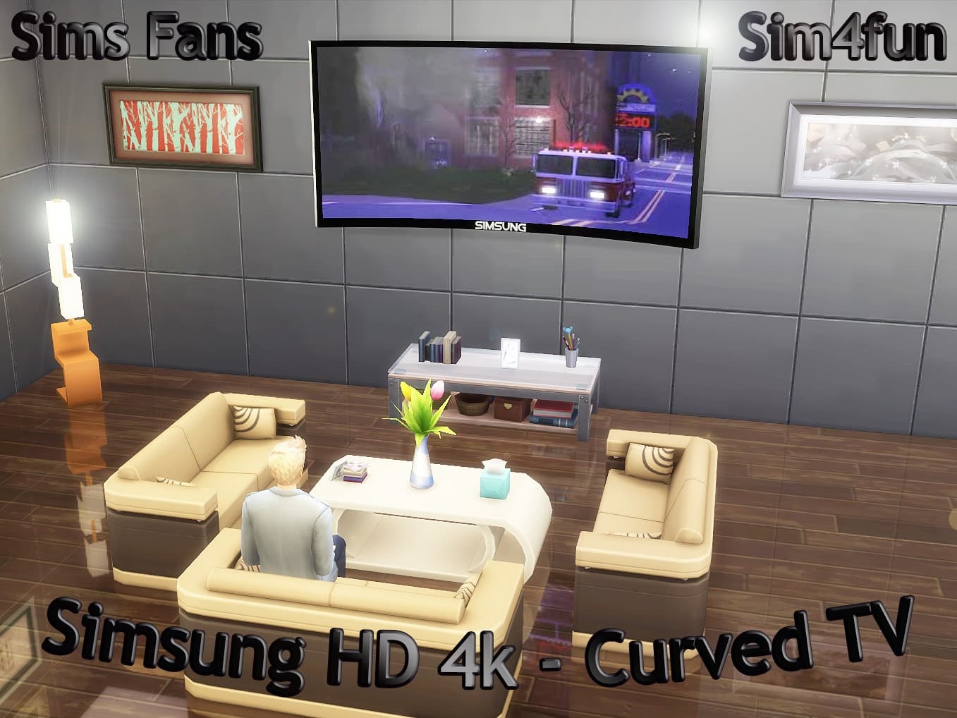 “Simsung” HD Curved Television
