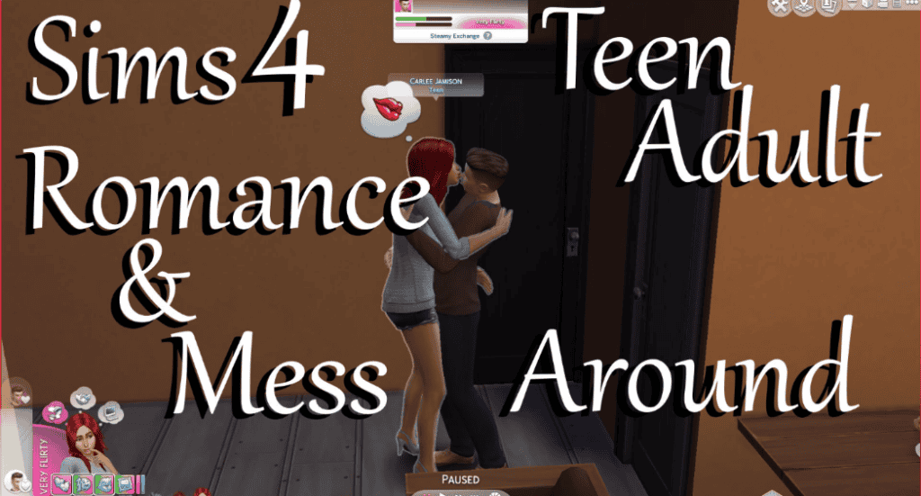 Teen/Adult Romance & Mess Around