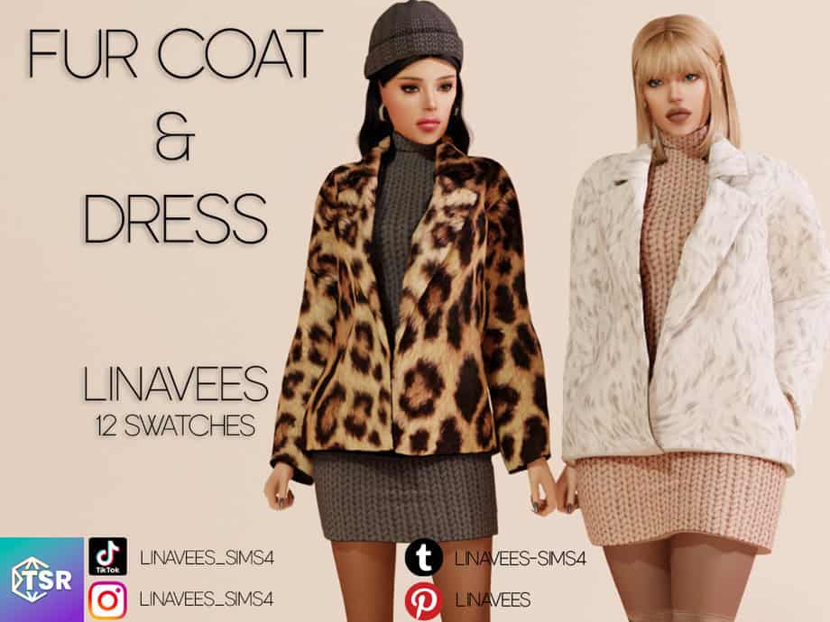 Fur Coat and Dress