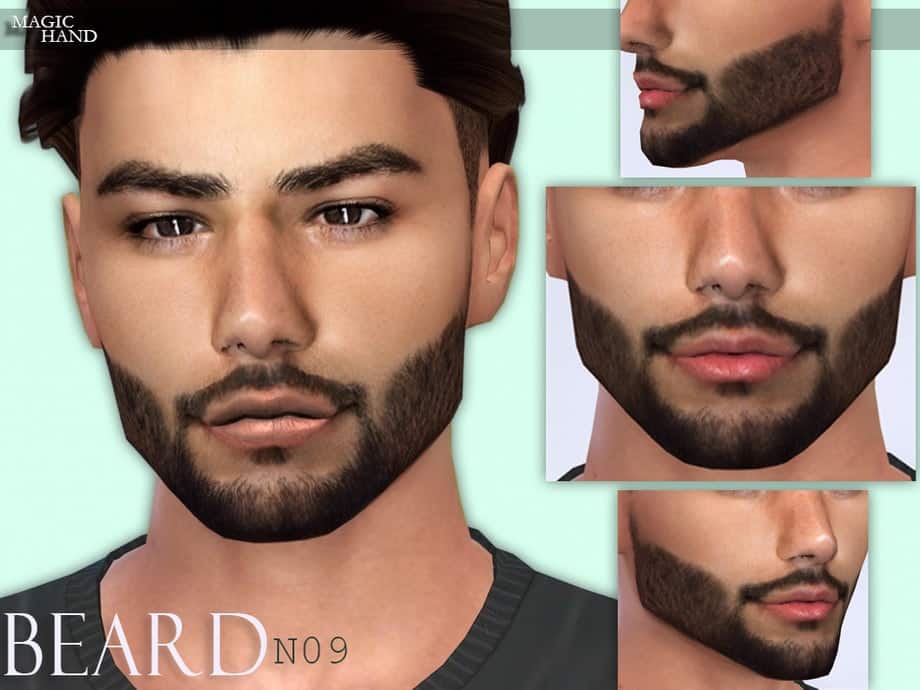 Beard N09
