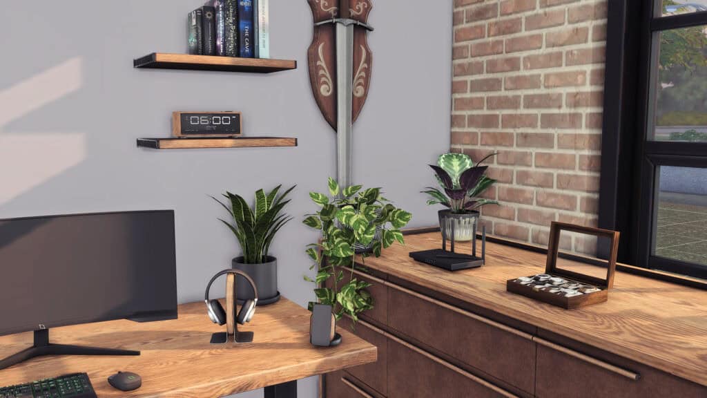 Sophisticated Gamer Clutter