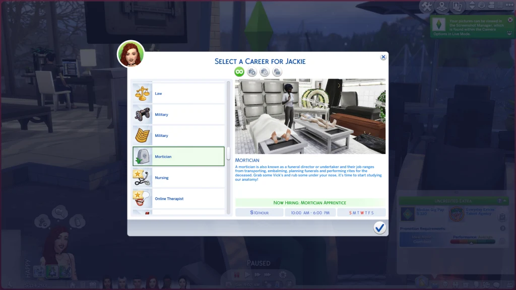 Sims 4 Mortician Career