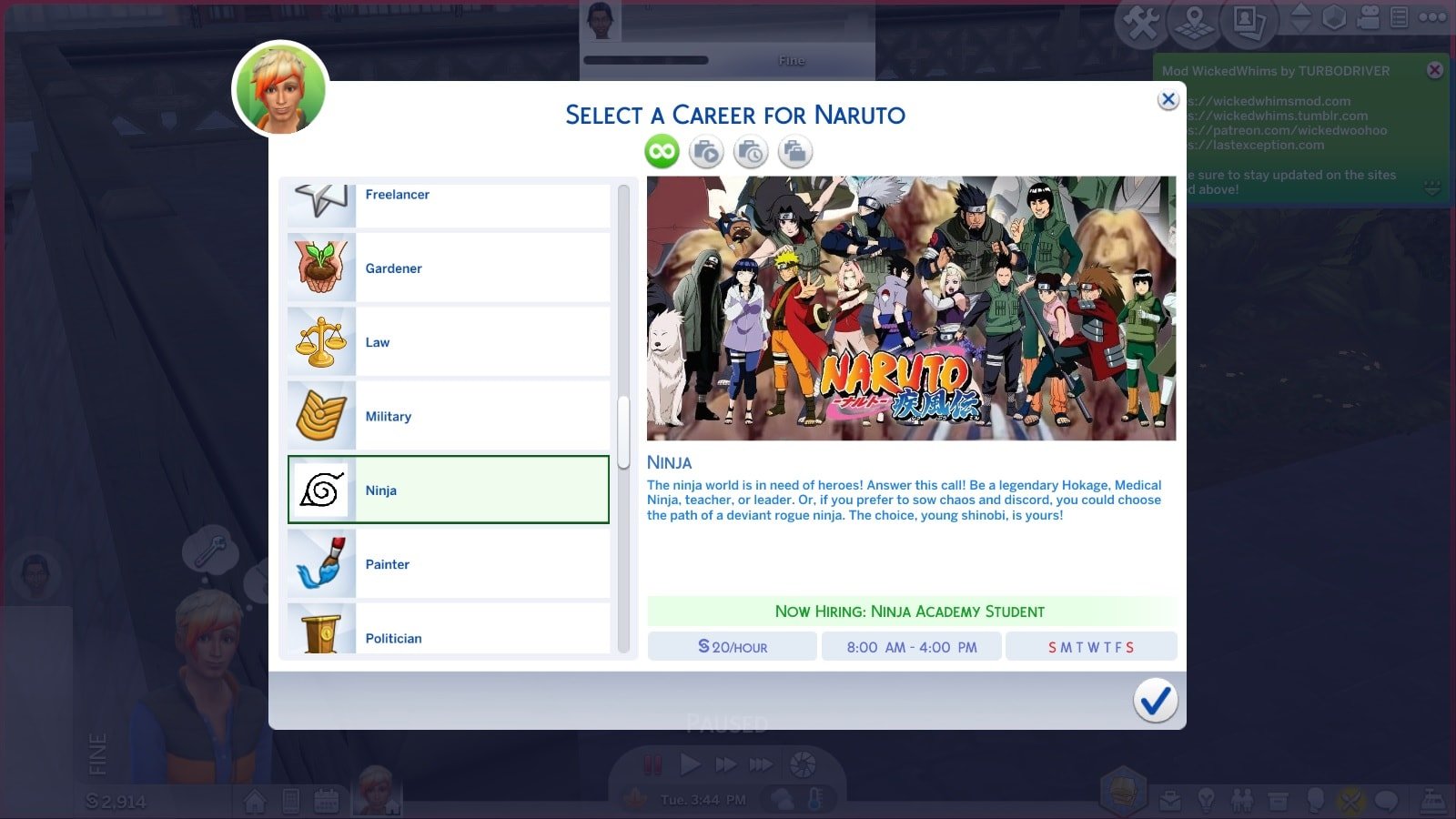 Naruto Ninja Career